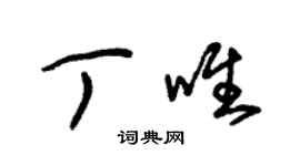 朱錫榮丁唯草書個性簽名怎么寫