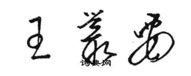 駱恆光王叢要草書個性簽名怎么寫