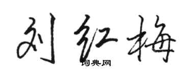駱恆光劉紅梅行書個性簽名怎么寫