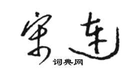 駱恆光宋連草書個性簽名怎么寫