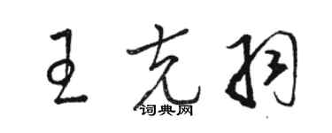 駱恆光王克羽草書個性簽名怎么寫