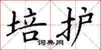 丁謙培護楷書怎么寫