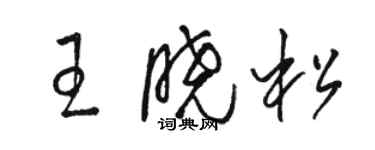 駱恆光王曉松草書個性簽名怎么寫