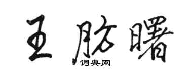 駱恆光王肪曙行書個性簽名怎么寫