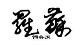 朱錫榮羅蘇草書個性簽名怎么寫