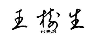 梁錦英王樹生草書個性簽名怎么寫