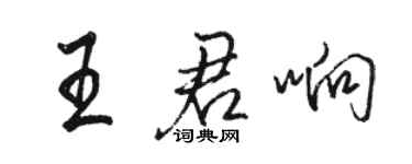 駱恆光王君響行書個性簽名怎么寫