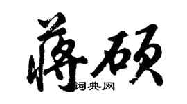 胡問遂蔣碩行書個性簽名怎么寫