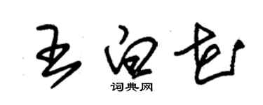 朱錫榮王白花草書個性簽名怎么寫