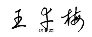 梁錦英王幸梅草書個性簽名怎么寫