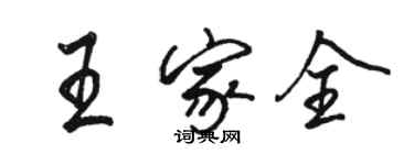 駱恆光王家全行書個性簽名怎么寫