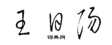 駱恆光王日陽草書個性簽名怎么寫