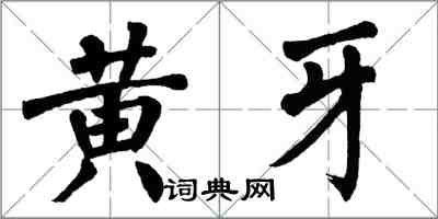 翁闓運黃牙楷書怎么寫