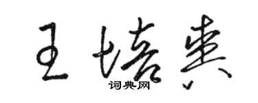 駱恆光王培爽草書個性簽名怎么寫