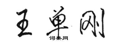 駱恆光王單剛行書個性簽名怎么寫