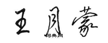 駱恆光王月蒙行書個性簽名怎么寫