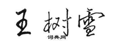 駱恆光王樹雪行書個性簽名怎么寫