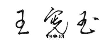 駱恆光王憲玉草書個性簽名怎么寫