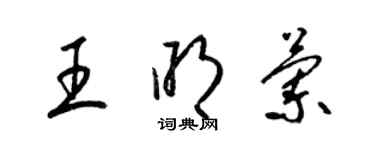 梁錦英王明蘭草書個性簽名怎么寫