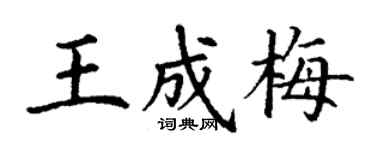 丁謙王成梅楷書個性簽名怎么寫