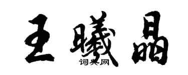 胡問遂王曦晶行書個性簽名怎么寫