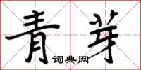 周炳元青芽楷書怎么寫