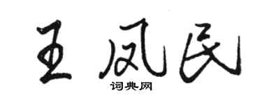 駱恆光王鳳民行書個性簽名怎么寫