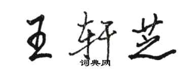 駱恆光王軒芝行書個性簽名怎么寫