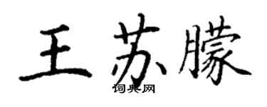 丁謙王蘇朦楷書個性簽名怎么寫