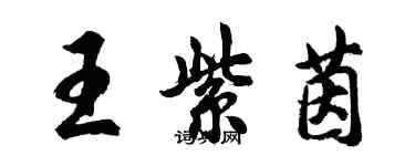 胡問遂王紫茵行書個性簽名怎么寫