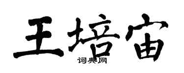 翁闓運王培宙楷書個性簽名怎么寫