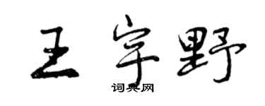 曾慶福王宇野行書個性簽名怎么寫