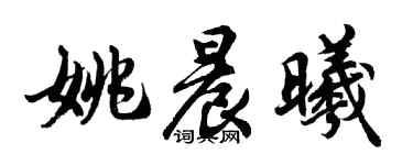 胡問遂姚晨曦行書個性簽名怎么寫