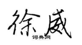 王正良徐威行書個性簽名怎么寫