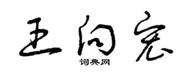 曾慶福王向宏草書個性簽名怎么寫