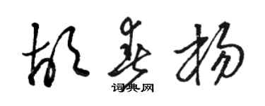 駱恆光胡春楊草書個性簽名怎么寫