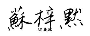 王正良蘇梓默行書個性簽名怎么寫