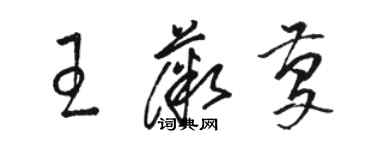 駱恆光王薇慶草書個性簽名怎么寫