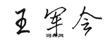 駱恆光王軍會行書個性簽名怎么寫