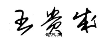 朱錫榮王貴成草書個性簽名怎么寫