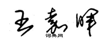 朱錫榮王嘉暉草書個性簽名怎么寫