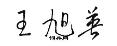 駱恆光王旭英草書個性簽名怎么寫