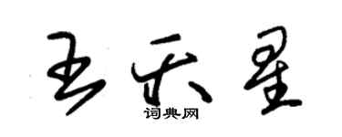 朱錫榮王夭星草書個性簽名怎么寫