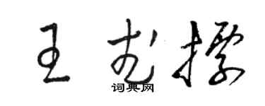 駱恆光王武標草書個性簽名怎么寫