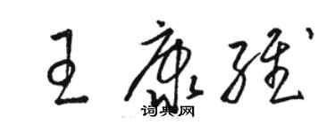 駱恆光王康維草書個性簽名怎么寫