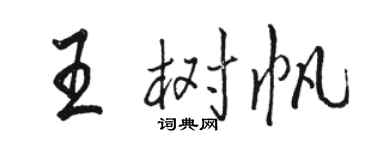 駱恆光王樹帆行書個性簽名怎么寫