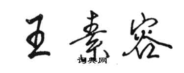 駱恆光王素容行書個性簽名怎么寫