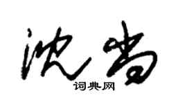 朱錫榮沈尚草書個性簽名怎么寫