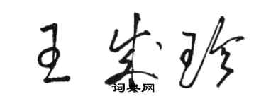 駱恆光王成珍草書個性簽名怎么寫