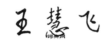 駱恆光王慧飛行書個性簽名怎么寫